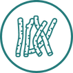 Angelica Gigas Nakai Herb Root logo