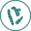 Cynanchum Wilfordii Herb Root logo