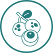 Longan logo