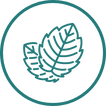 Phlomis Umbrosa (Herb Leaf) logo