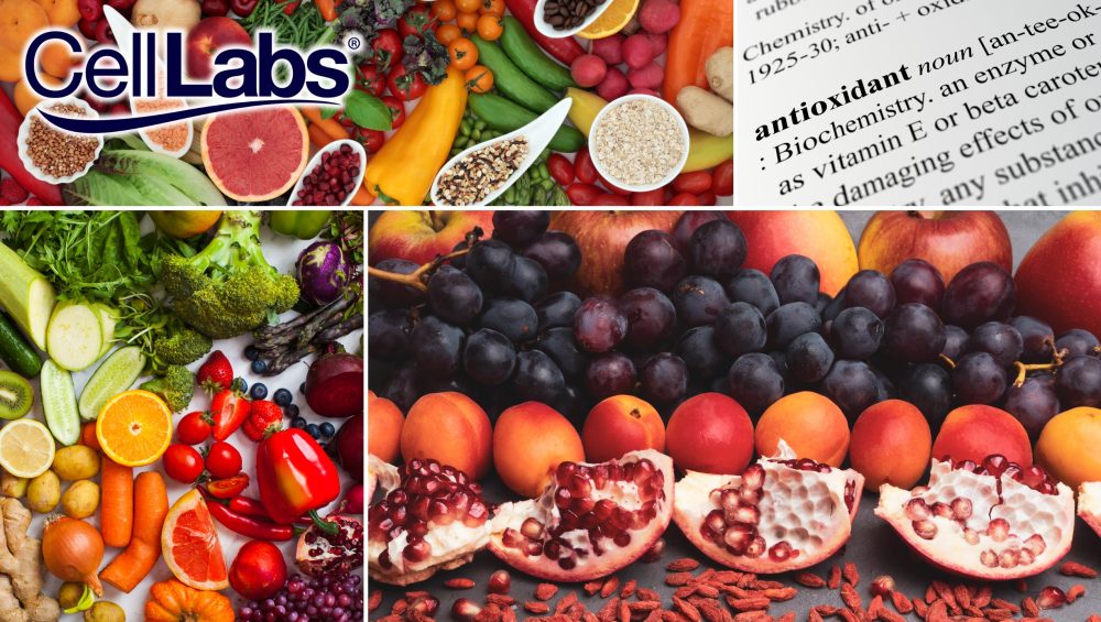 A collage of different fruits and vegetables that are sources of antioxidants.