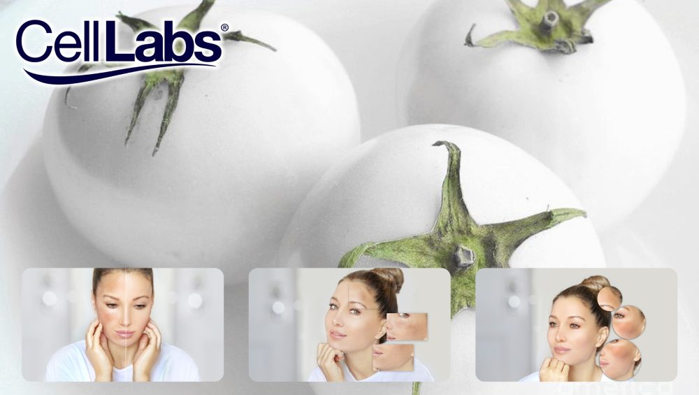 Image of white tomatoes with pictures of woman with lightened skin tone, reduced pigmentation, and fading dark spots.