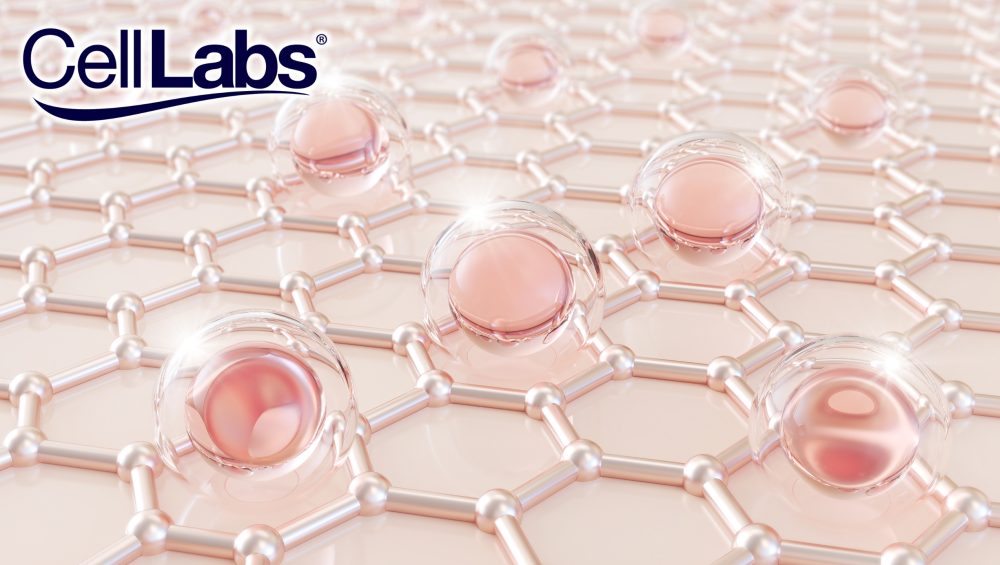 Image of skin cells and collagen being absorbed into it as banner for blog on why you need collagen.