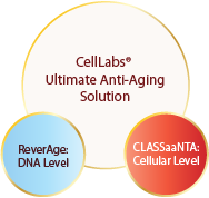 An intersecting chart on the combined benefits of CellLabs CLASSaaNTA and CellLabs ReverAge.