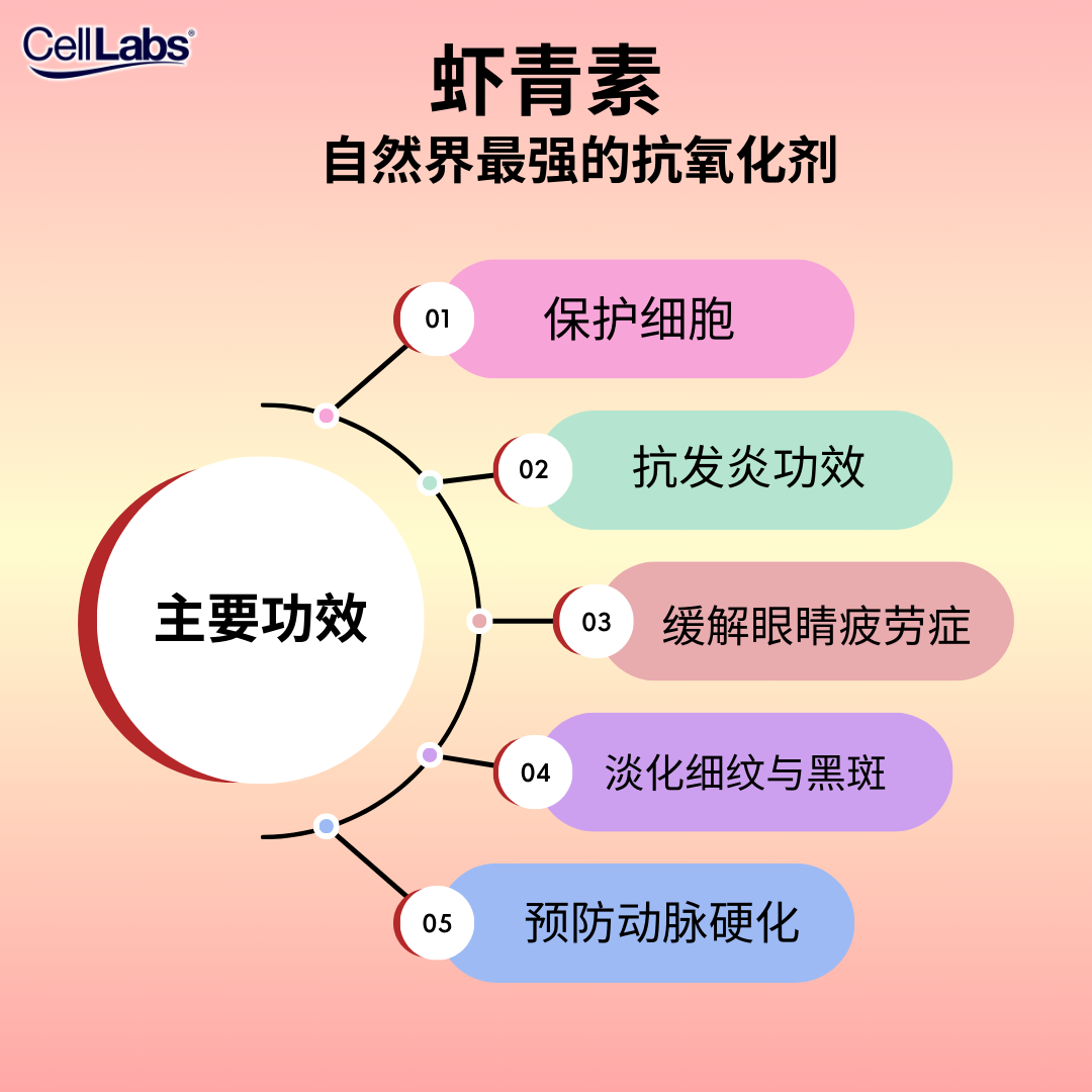3. Astaxanthin Target _ Benefits