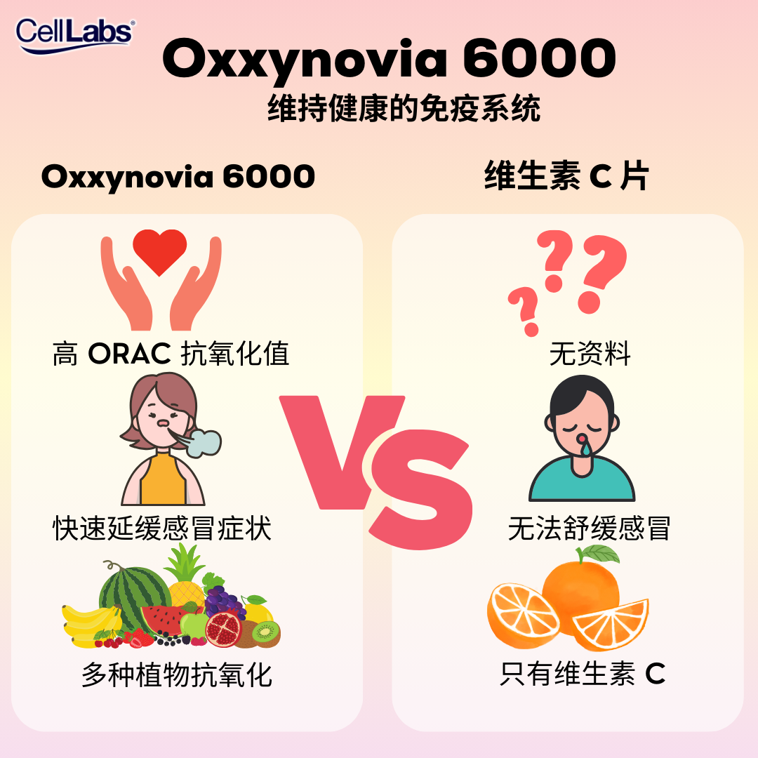 4. Oxxynovia and Vitamin C Comparison